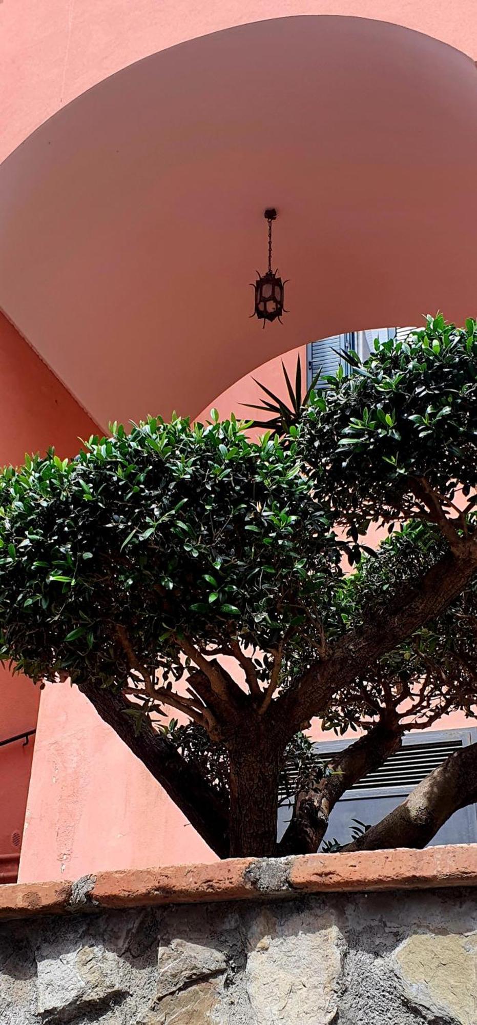 La Maison Rose 马奥莱 外观 照片